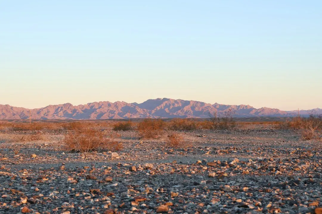 Captain Beefheart, The Mojave Desert, California (Image Credits: Unsplash)