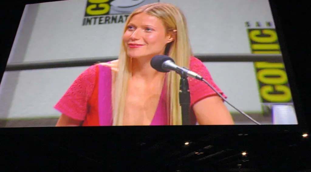Gwyneth Paltrow: The Wellness Empire Under Fire (Image Credits: Flickr)