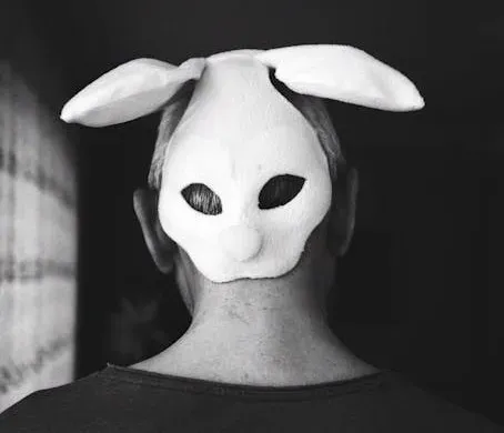 4. Donnie Darko (2001) (Image Credits: Pexels)