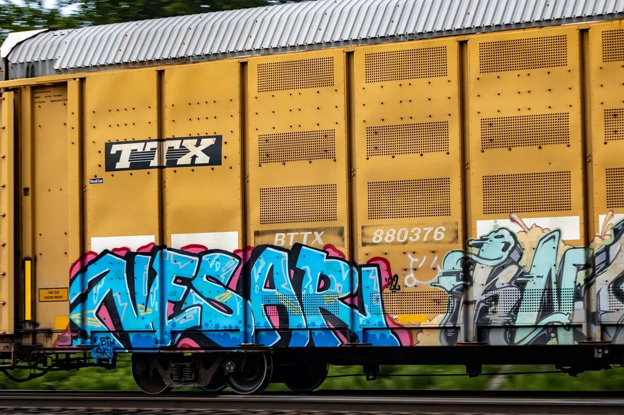 5. The Clean Train Movement Nearly Killed Graffiti (Image Credits: Pixabay)