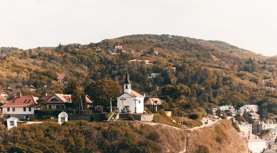 The Witcher (Image Credits: Pexels)