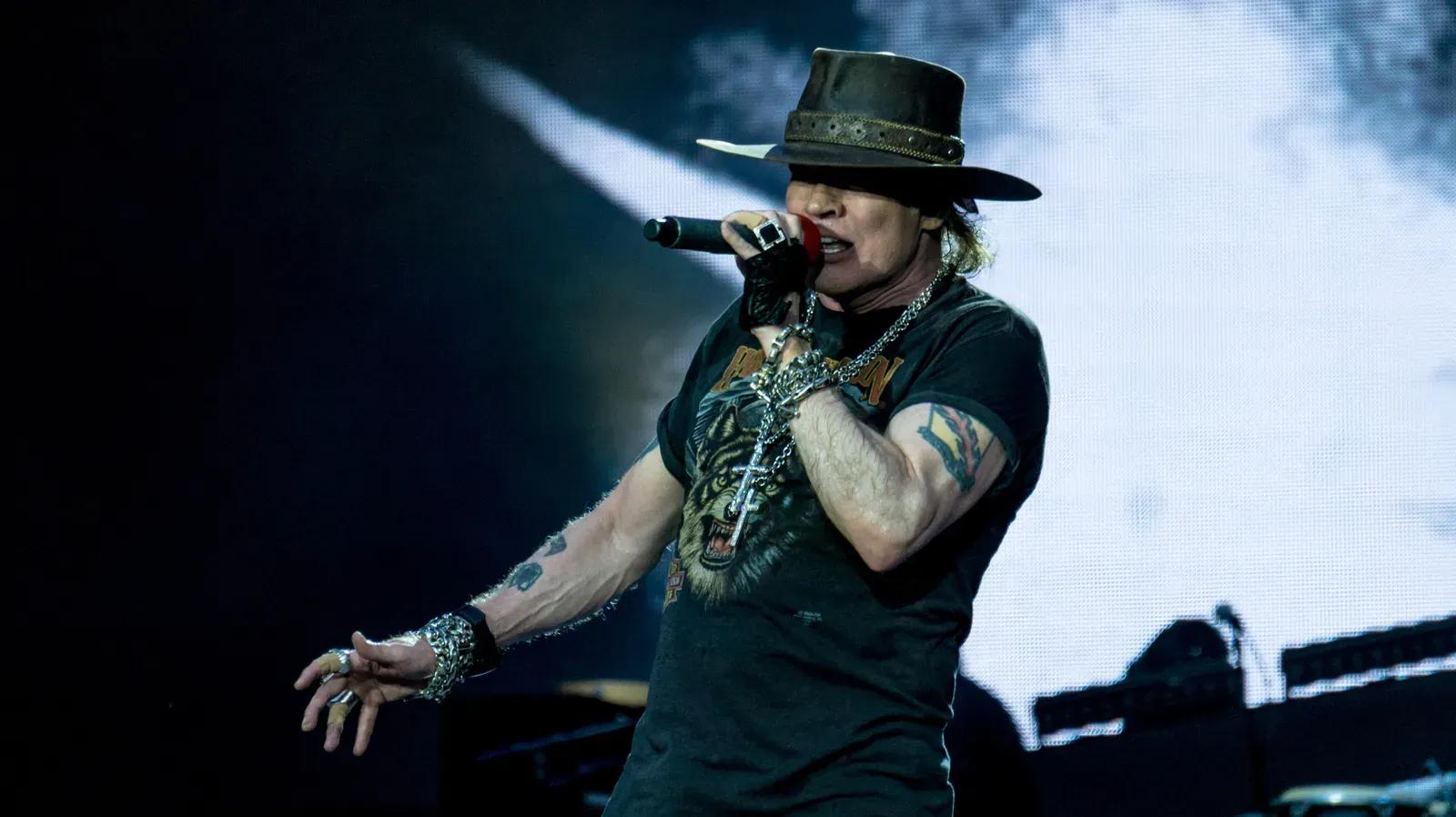 Guns N' Roses, "Estranged" (1993) (Image Credits: Wikimedia)