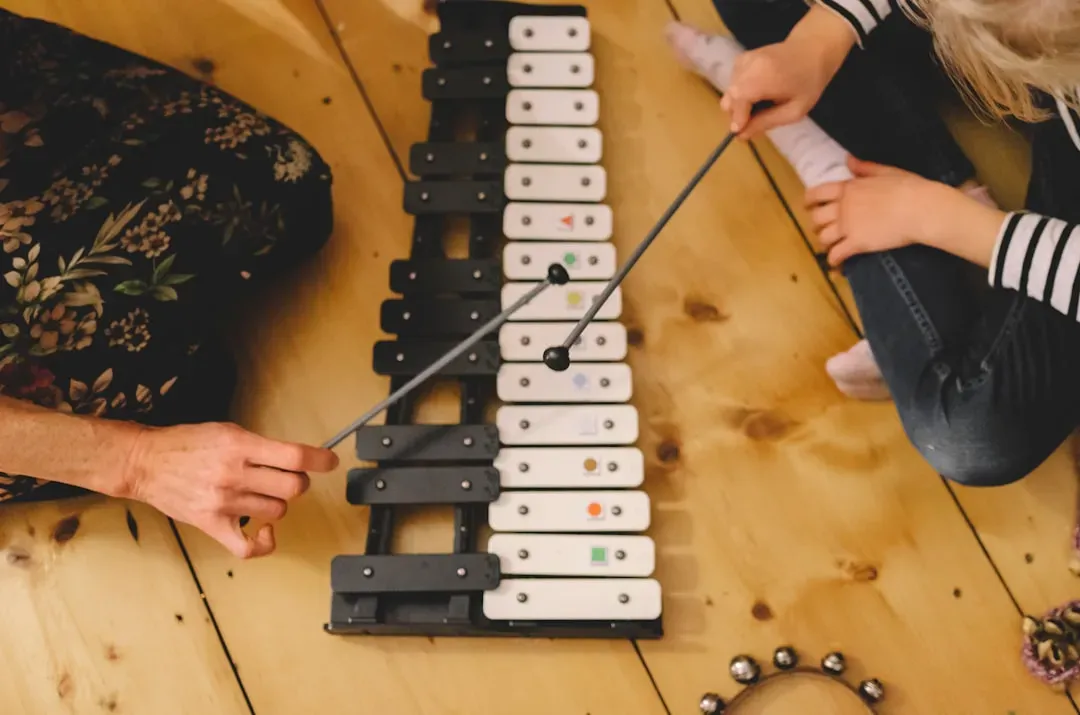 5. The Xylophone - Violent Femmes, "Gone Daddy Gone" (1983) (Image Credits: Unsplash)