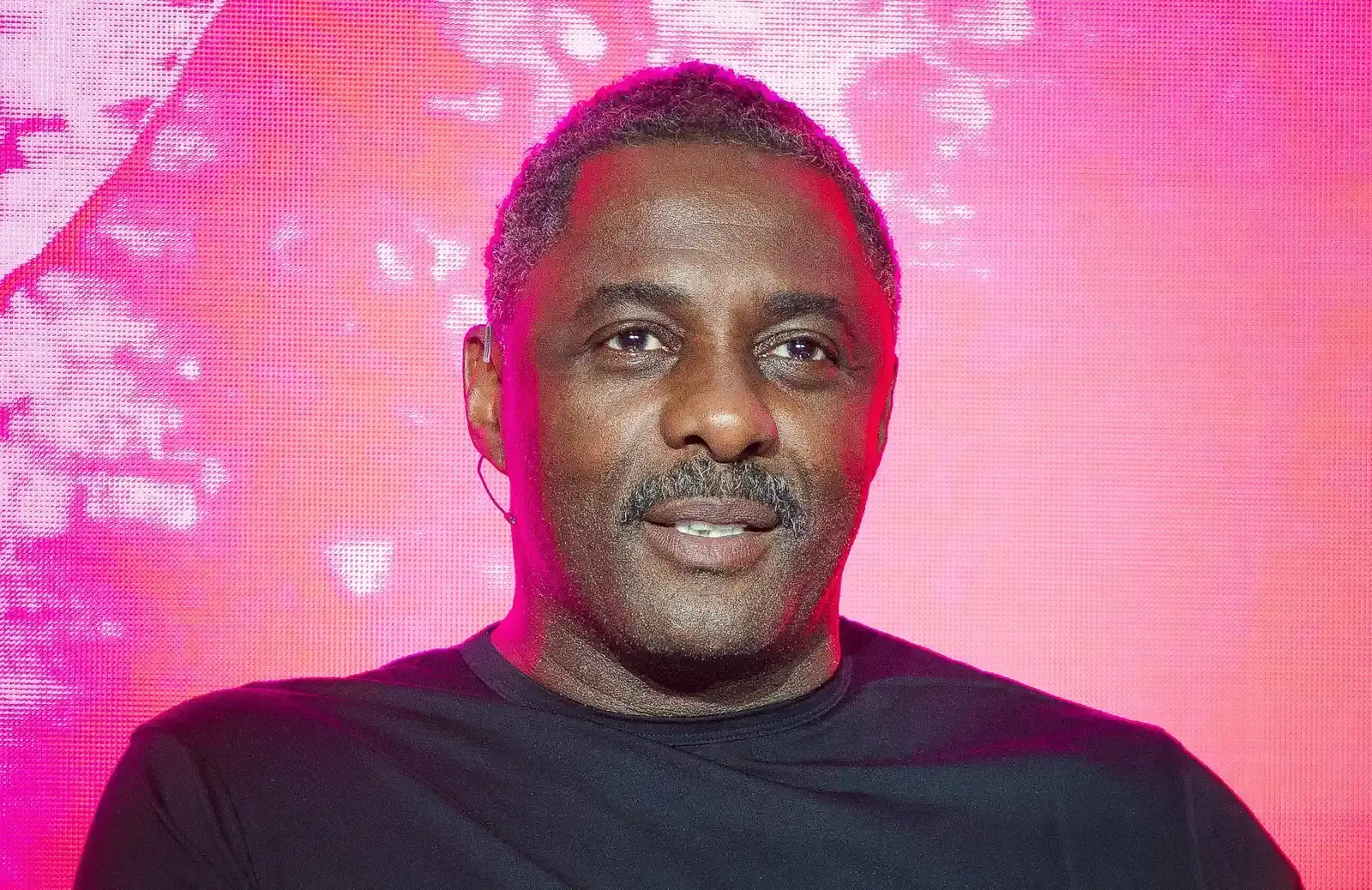 Idris Elba as Knuckles the Echidna (Image Credits: Wikimedia)