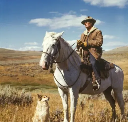Buddy Ebsen, The Wizard of Oz (Image Credits: Pexels)