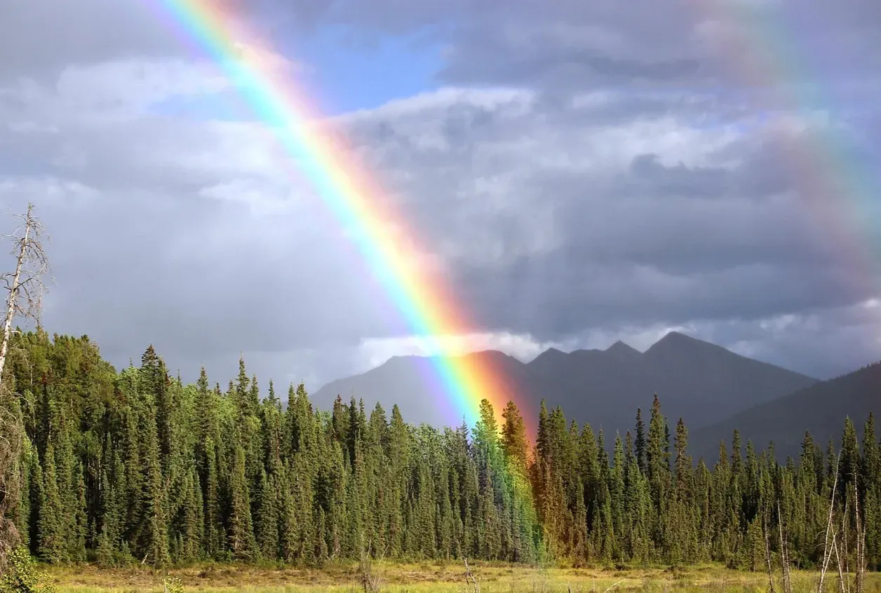 Over the Rainbow in The Wizard of Oz: A Song MGM Thought Was Slow (Image Credits: Pixabay)