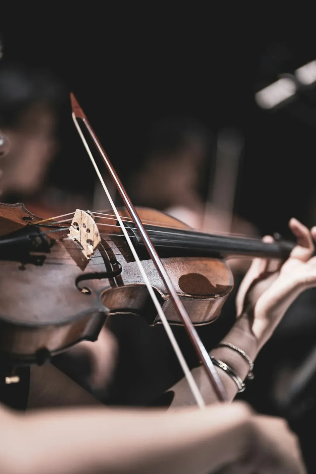 Classical Music Fans: The Readers Who Want Depth (Image Credits: Unsplash)