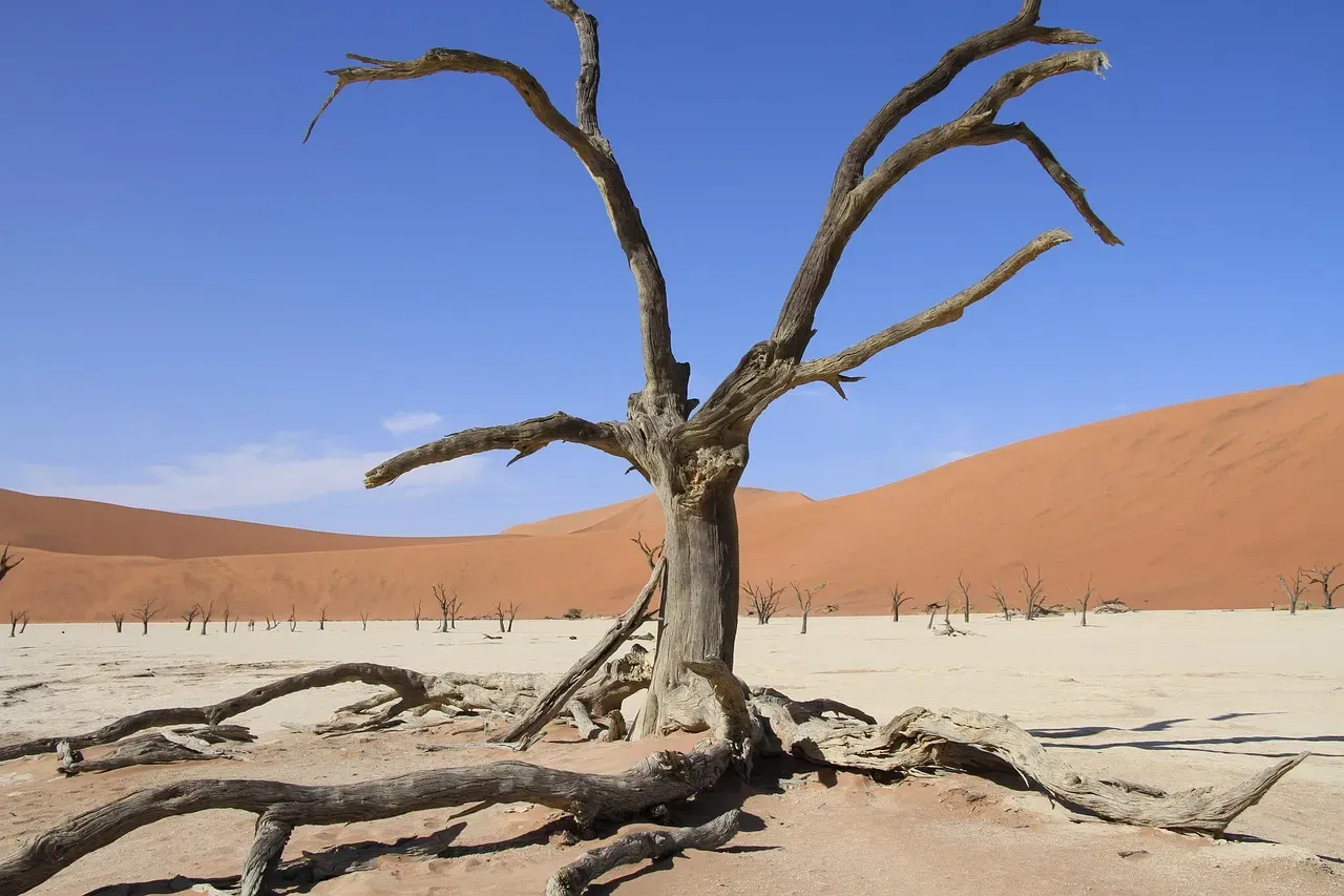 The Real Risks of Trading Keys for Keys (Image Credits: Pixabay)