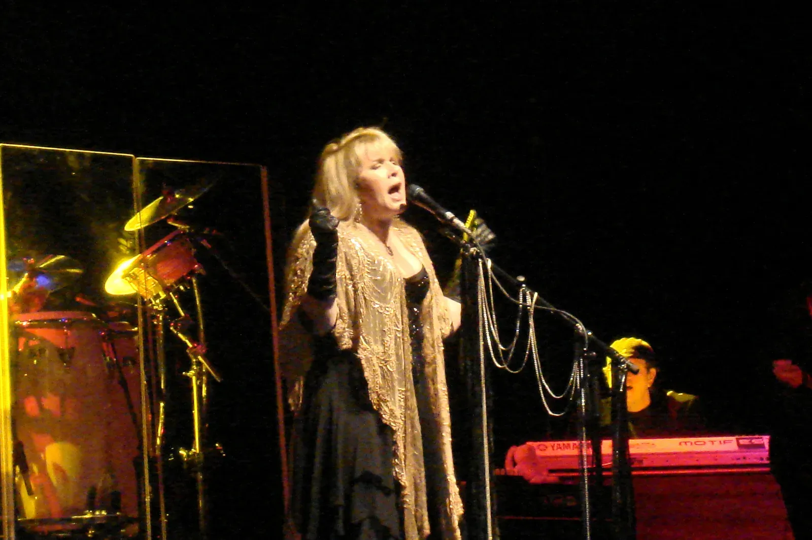 Stevie Nicks: The Music Would Not Have Survived It (Image Credits: Wikimedia)