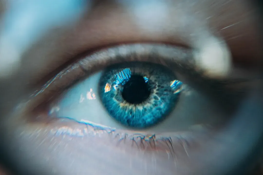 Lost – Pilot (Season 1, Episode 1): A Single Eye Opens (Image Credits: Unsplash)
