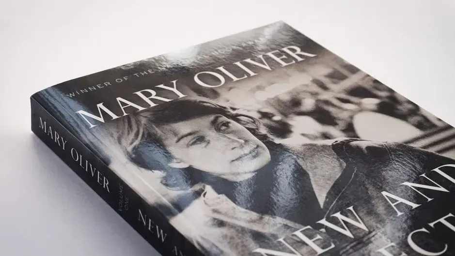 Condition and the Dust Jacket Rule (Image Credits: Pexels)