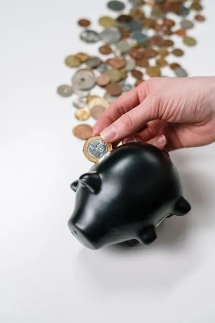 Take Them to the Bank (Image Credits: Pexels)