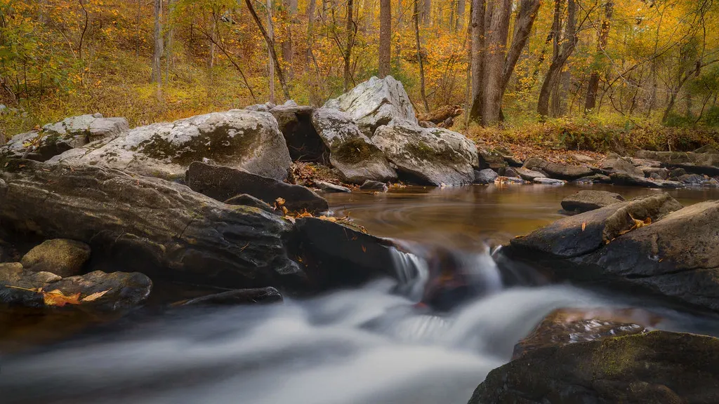 Rachel Carson and the Silent Spring (Image Credits: Flickr)