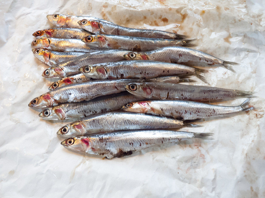 Anchovies: The Hidden Umami Bomb (Image Credits: Flickr)