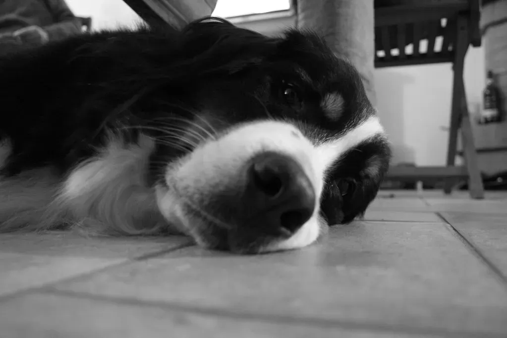 6. Habit and Routine Are Stronger Than You Think (David Locke, Flickr, CC BY 2.0)