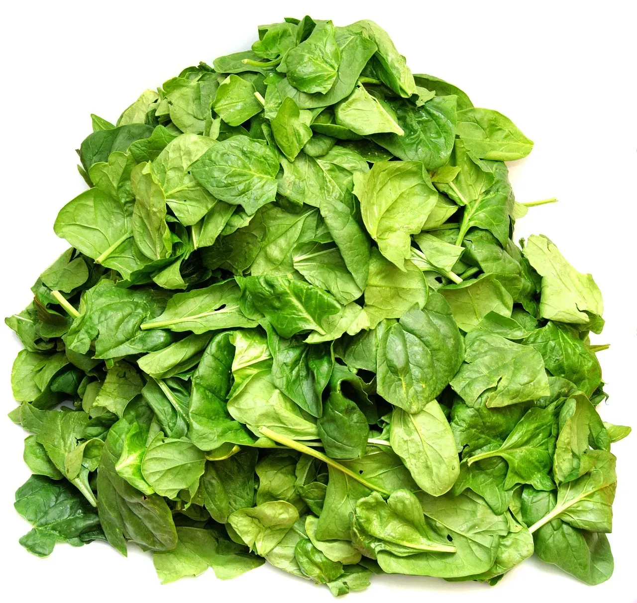 3. Spinach: Iron and Vitamins for Your Follicles (Image Credits: Pixabay)