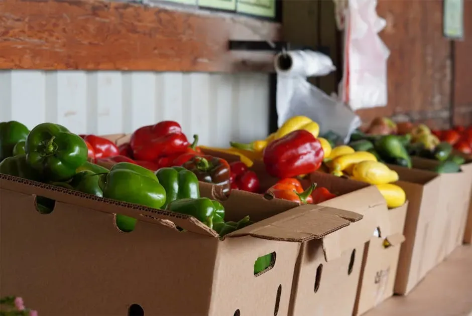 Abandoning Sourcing Transparency to Cut Costs (Image Credits: Pexels)