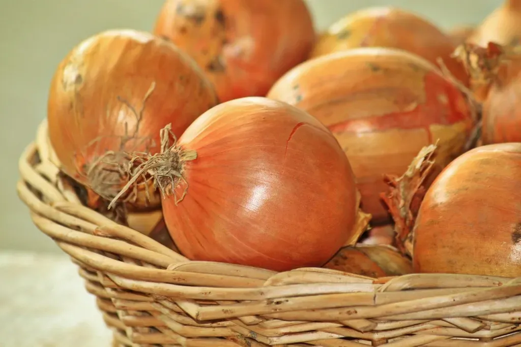 8. Onions (Image Credits: Rawpixel)