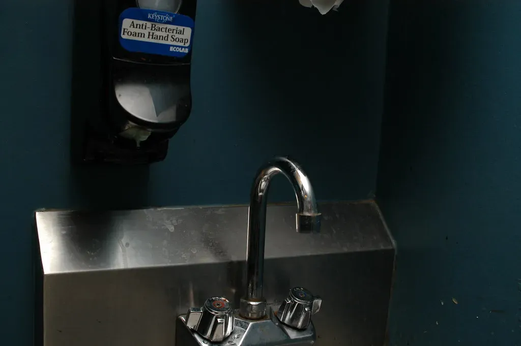 If You Absolutely Must Wash (Image Credits: Flickr)