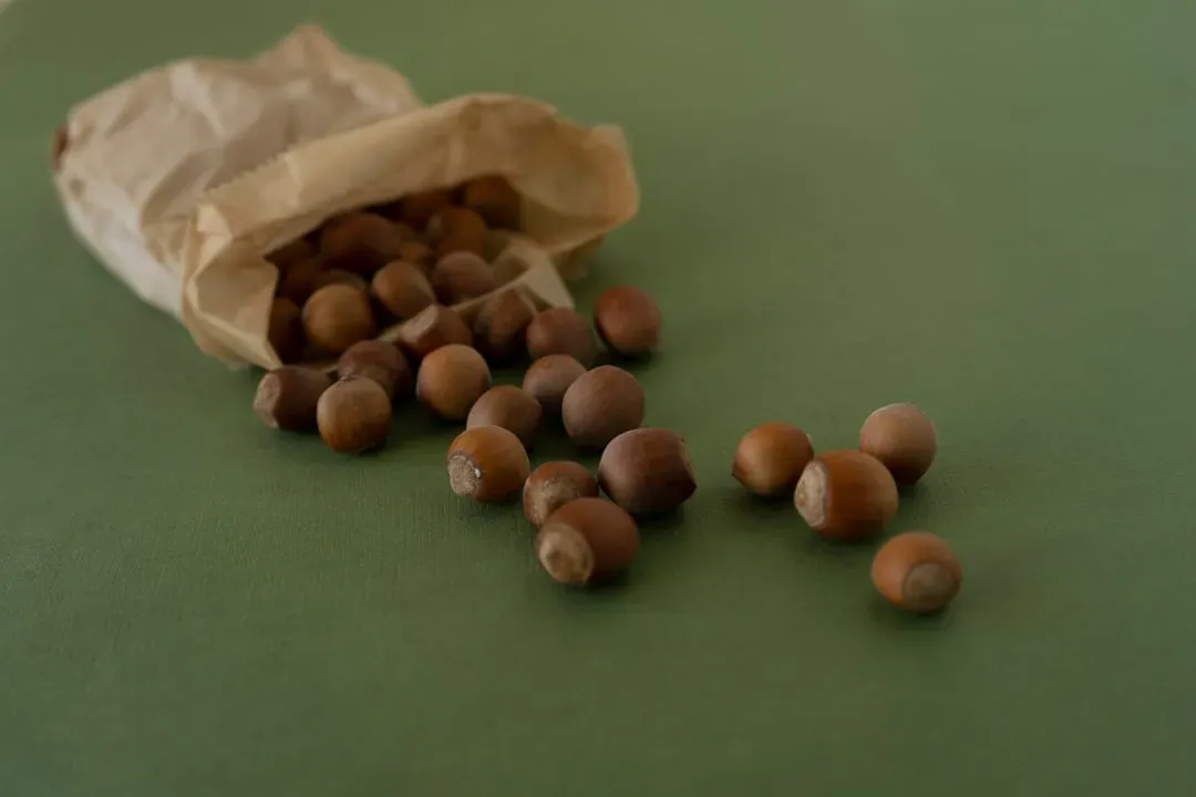 4. Hazelnuts: The Underdog with a Serious Nutritional Profile (Image Credits: Unsplash)