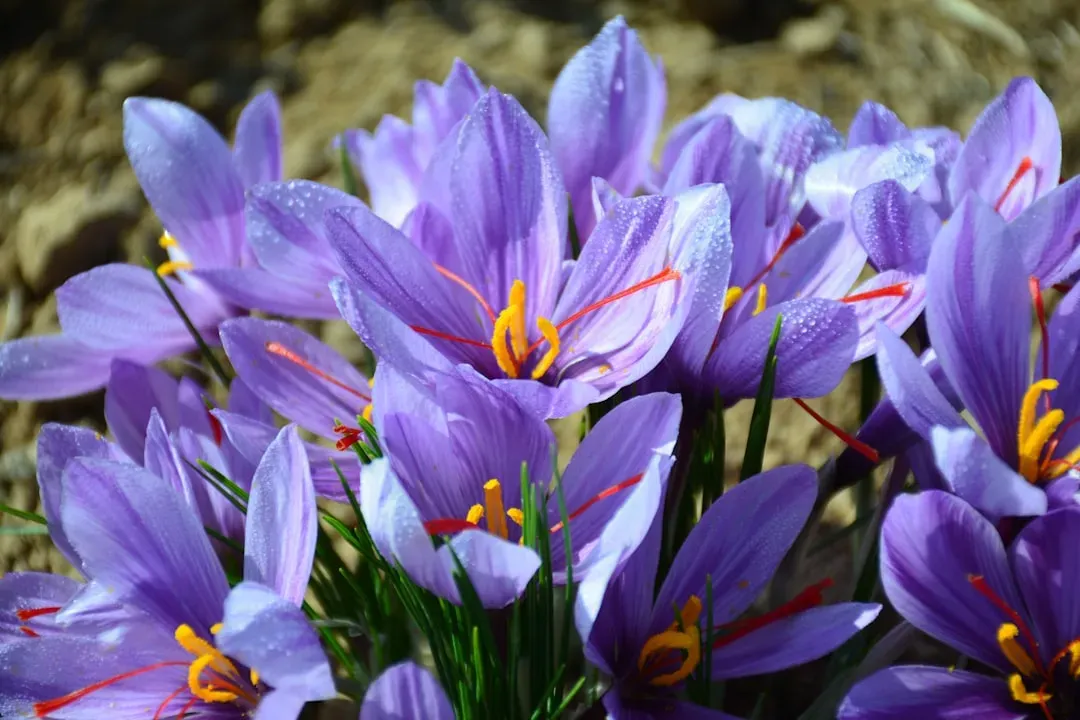 The Economics No One Talks About (Image Credits: Unsplash)