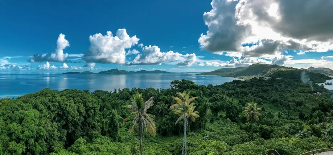Tonga and the Pacific Islands: An Obesity Crisis in Paradise (Image Credits: Unsplash)