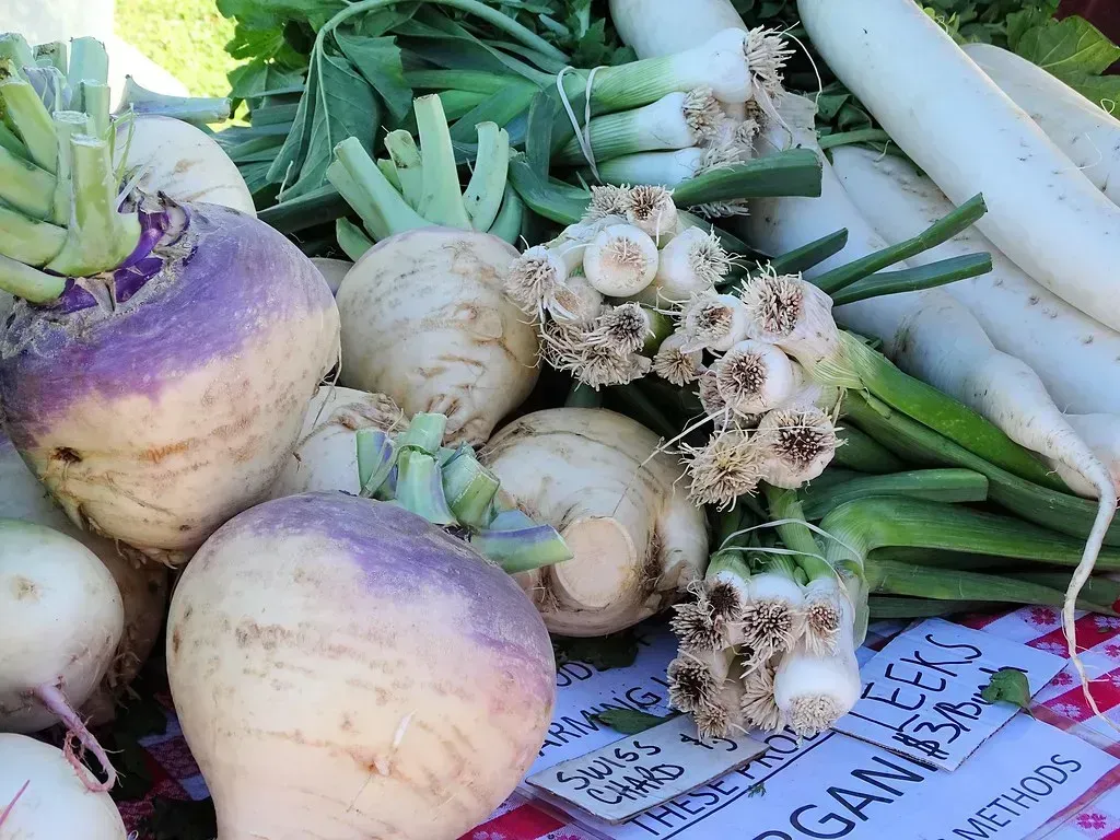 12. Rutabaga (Swede) (Sue Salisbury Maui Hawaii, Flickr, CC BY 2.0)