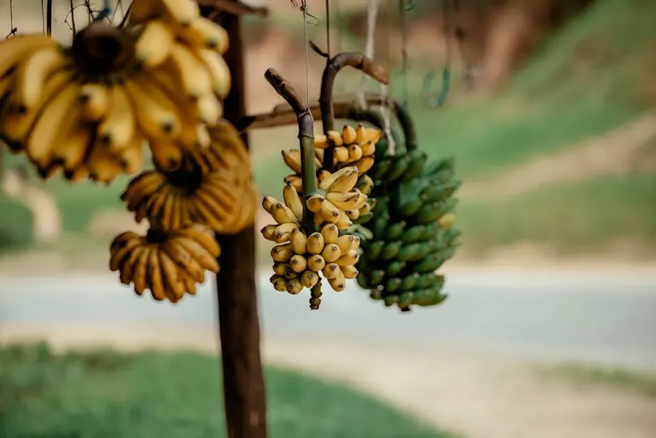 3. Bananas (Image Credits: Pexels)