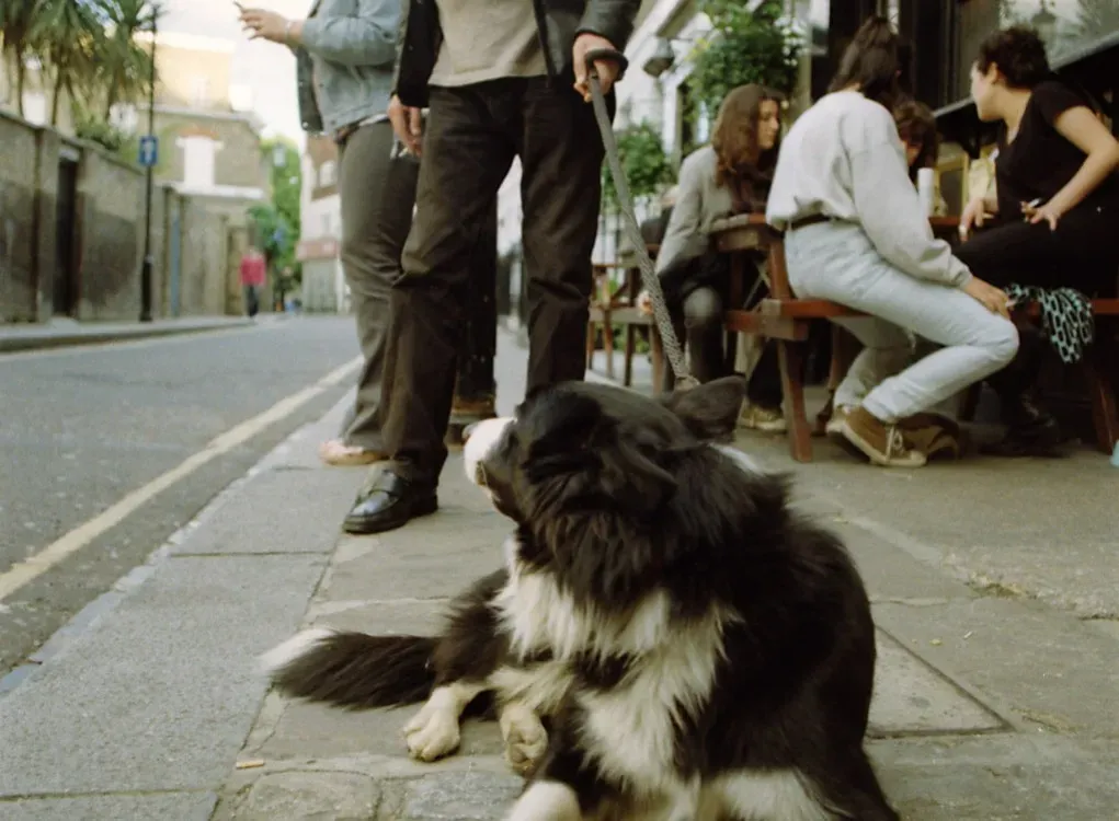 What Happens in the Brain When You Say "No" (Image Credits: Flickr)