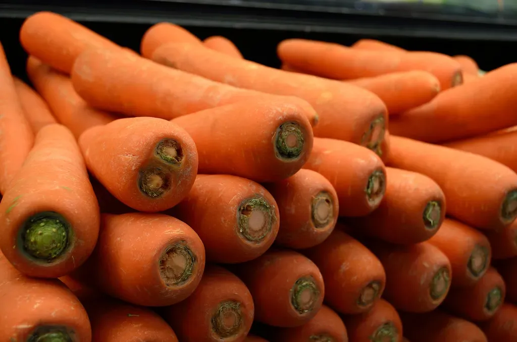 No Dirt, No Imperfections, No Reality (Image Credits: Flickr)