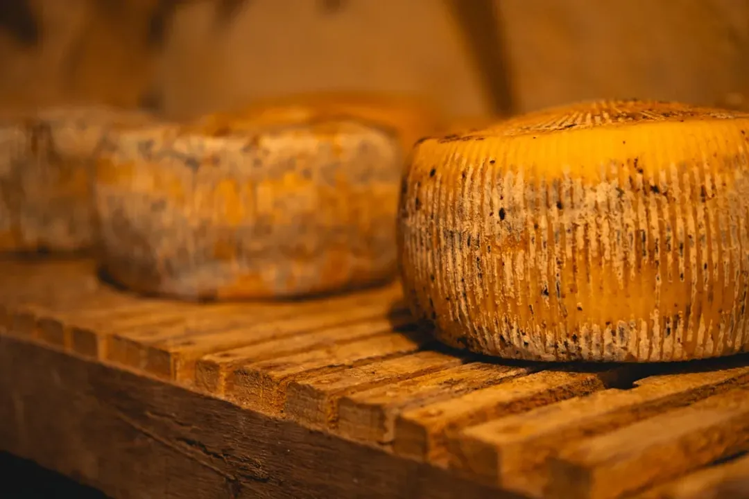 Salers de Buron: Ancient French Cheese Under Pressure (Image Credits: Unsplash)