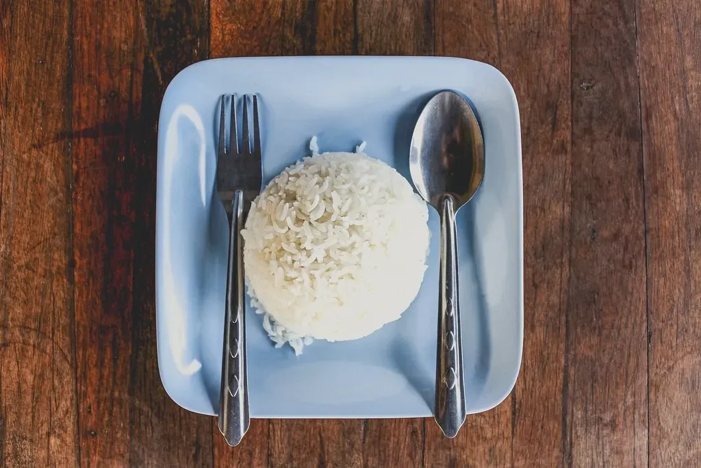 Cooked Rice and the Fried Rice Syndrome Danger (Image Credits: Rawpixel)