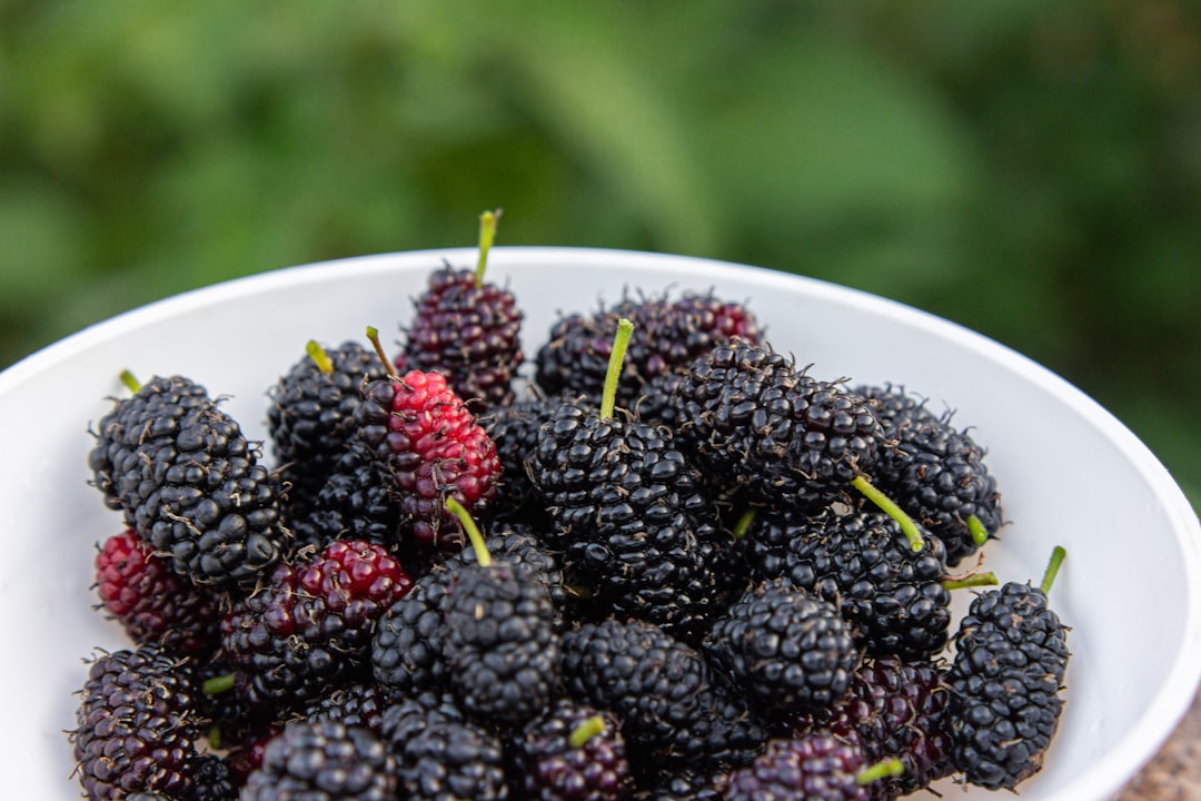 Blackberries: Fiber-Rich Antioxidant Bombs (image credits: unsplash)