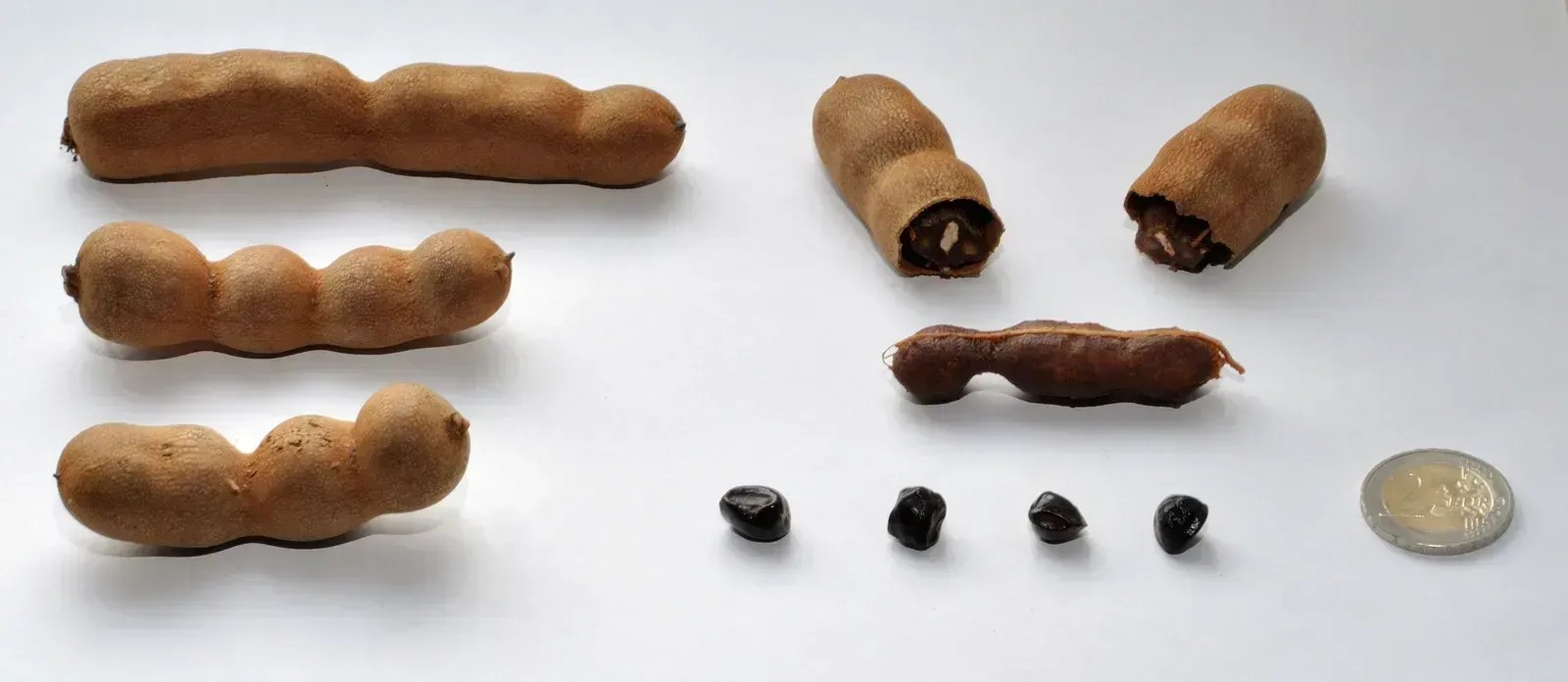 8. Tamarind - The Tangy Treasure Most Western Kitchens Are Missing (By kaʁstn Disk/Cat, CC BY-SA 3.0 de)