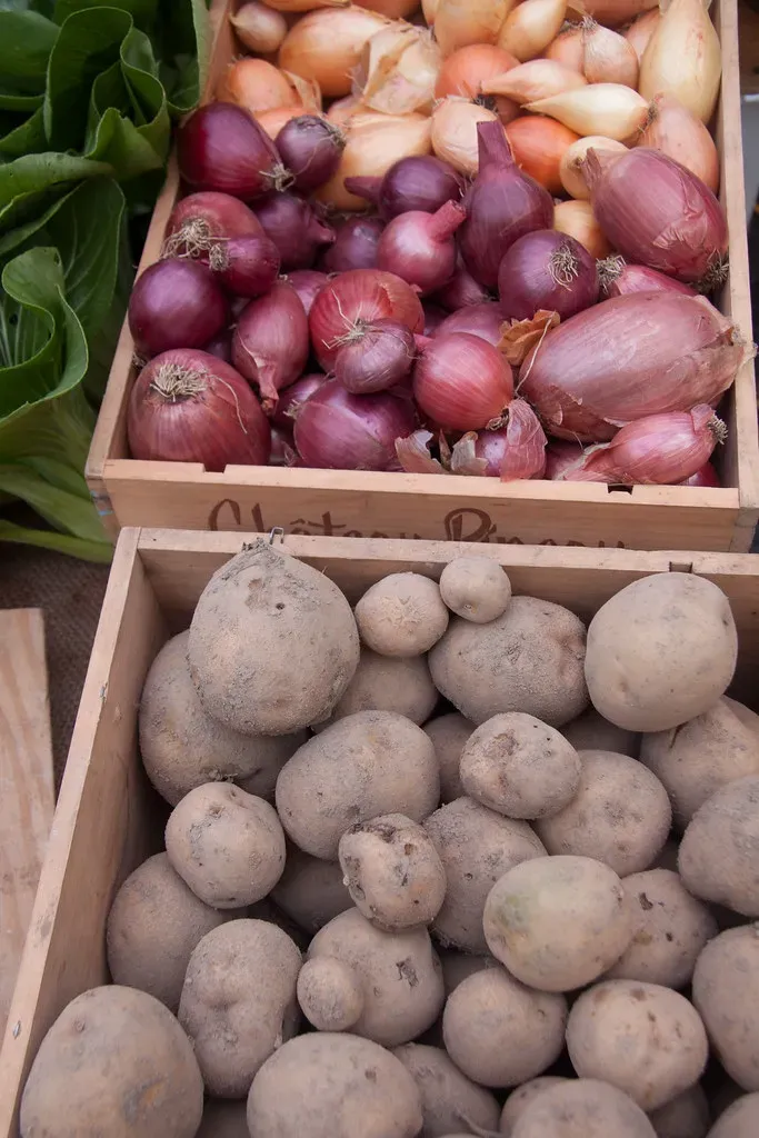 Potatoes and Onions Together (Image Credits: Flickr)