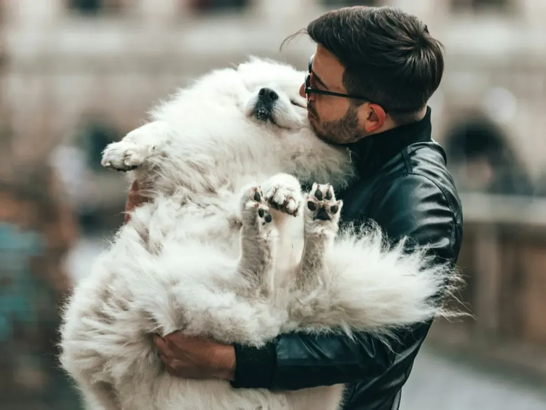 1. Hugging Them - Tight, Long, and With Great Enthusiasm (Image Credits: Unsplash)