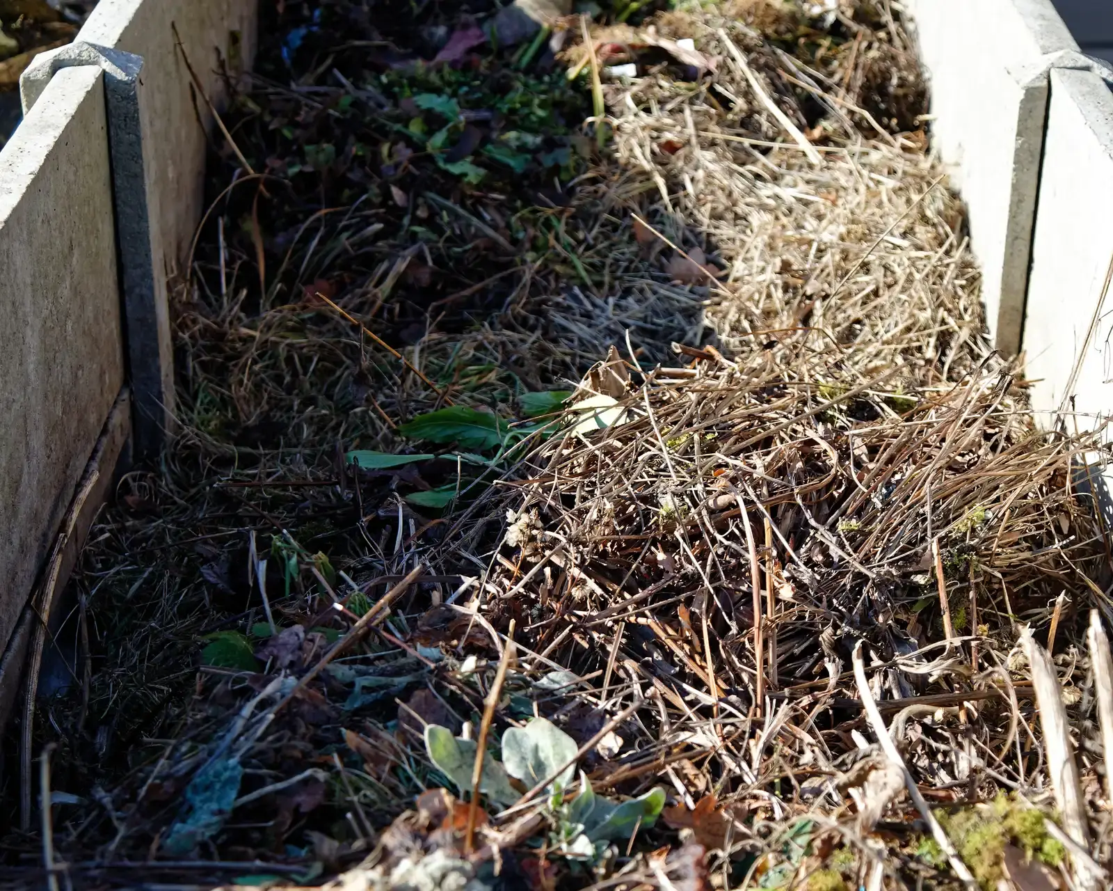 Making Peace With the New Normal (Image Credits: Wikimedia)