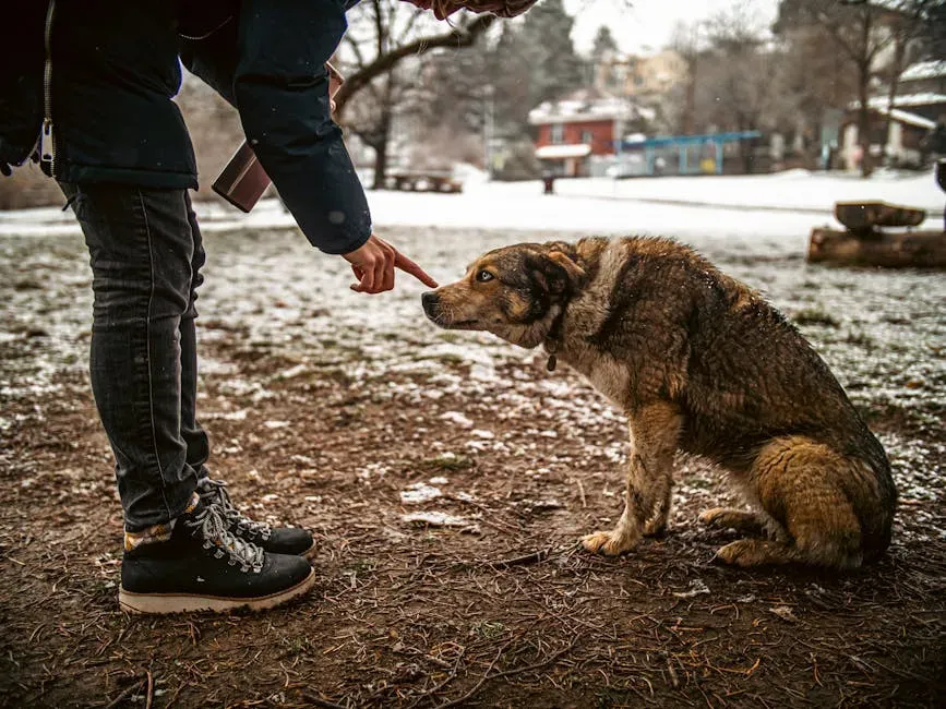 Let Them Approach You First (Image Credits: Pexels)