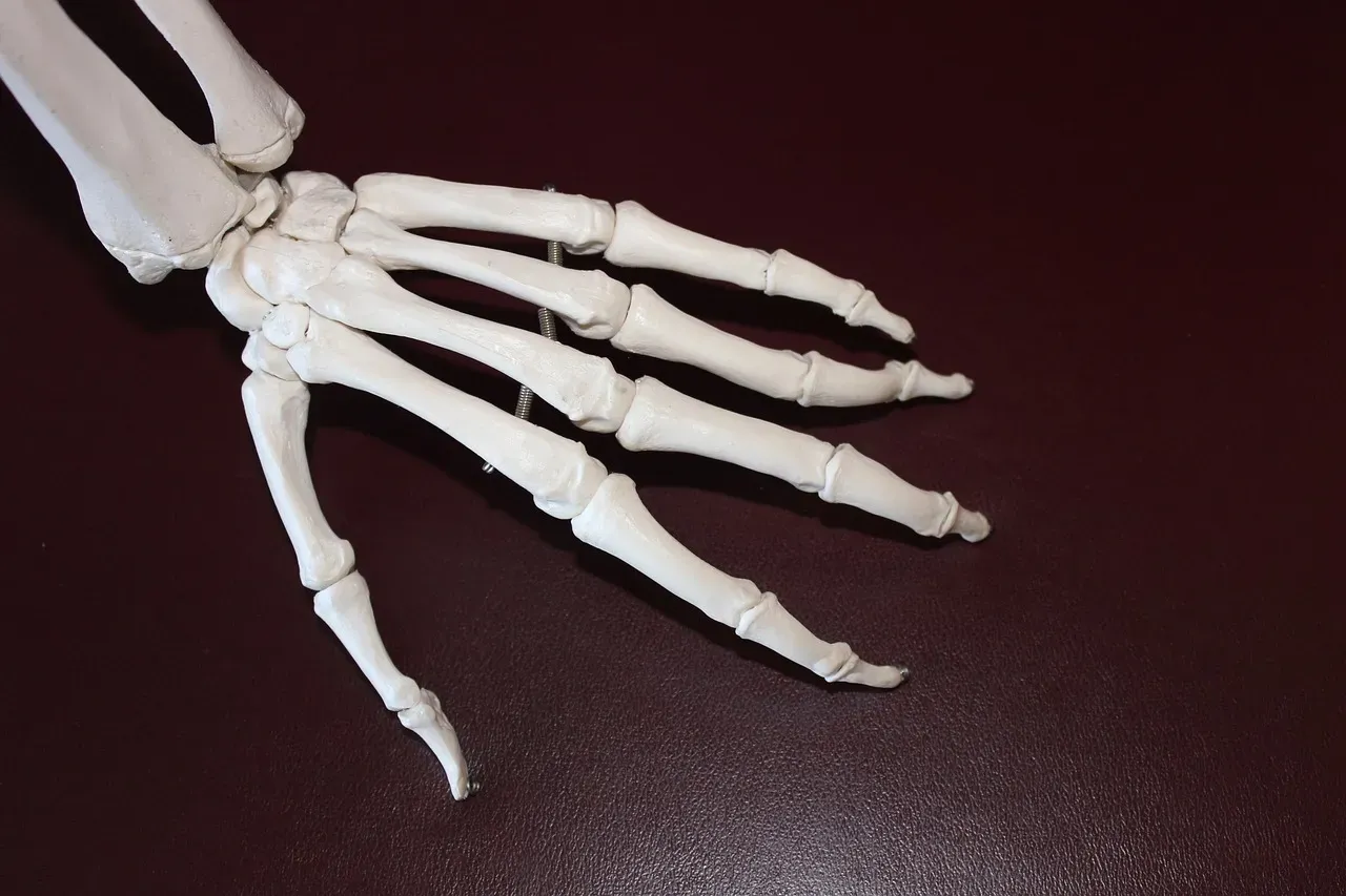 6. Weakened Bones or Higher Fracture Risk (Image Credits: Pixabay)