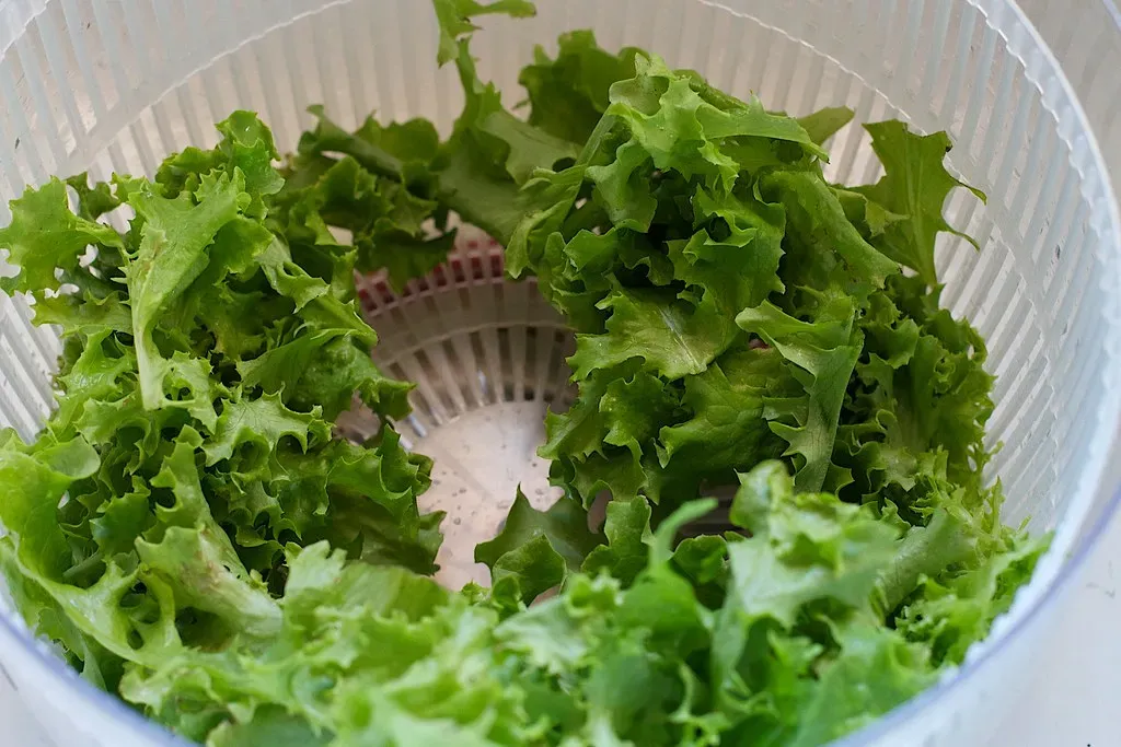 2. The Salad Spinner: Beloved by Chefs, Ignored by Everyone Else (cogdogblog, Flickr, CC BY 2.0)