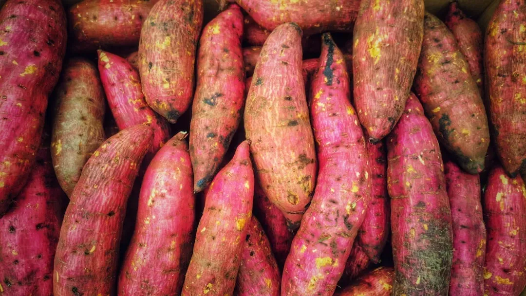 10. Sweet Potatoes: Flavor and Nutrition in One Pot (Image Credits: Unsplash)