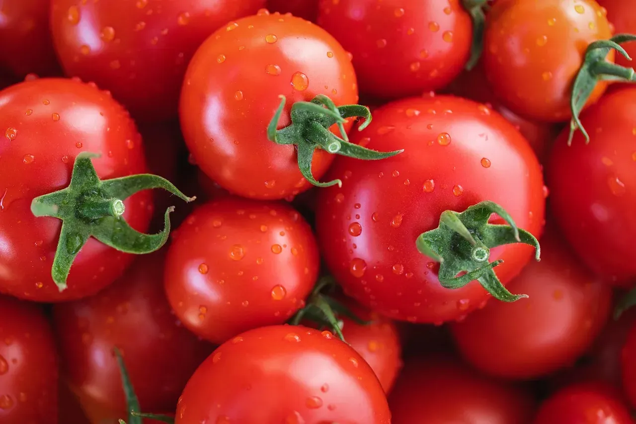 1. Tomatoes (Image Credits: Pixabay)