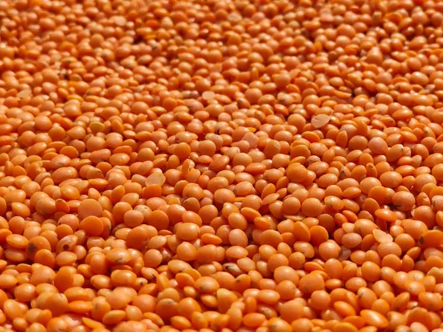 1. Lentils - The Unsung Hero of Budget Nutrition (Image Credits: Pexels)