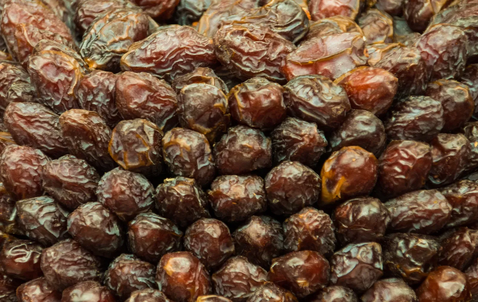 14. Dates (2019 Dates, CC BY 2.0)