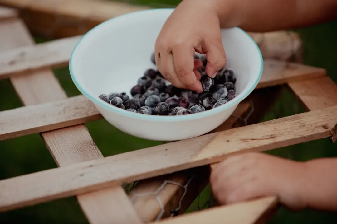 1. Blueberries: The Tiny Powerhouse Backed by Real Science (Image Credits: Unsplash)