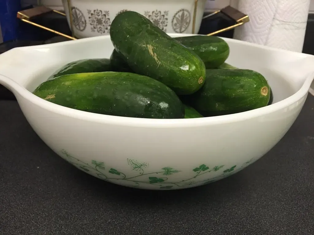 Cucumbers (Image Credits: Flickr)