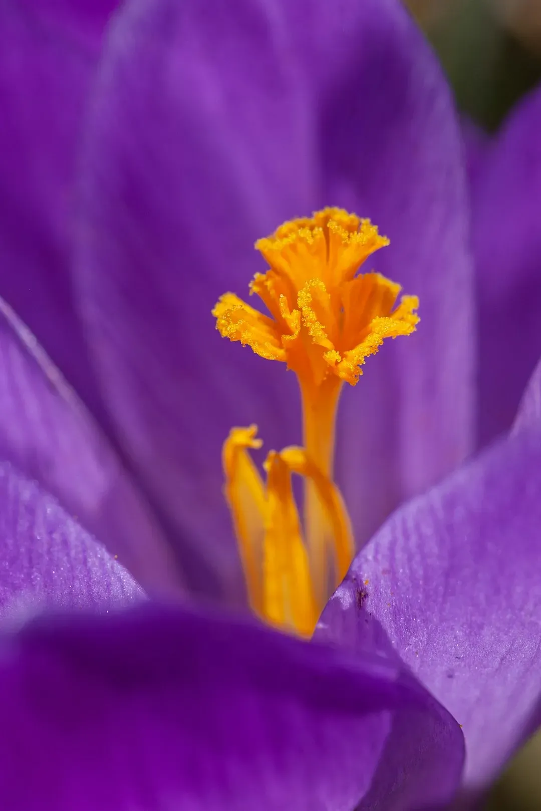 When Fraud Gets in the Game (Image Credits: Unsplash)