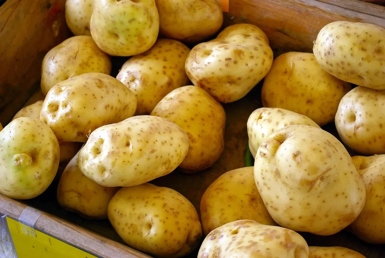 6. Potatoes: The Most Filling Dollar-for-Dollar Vegetable (Image Credits: Pixabay)