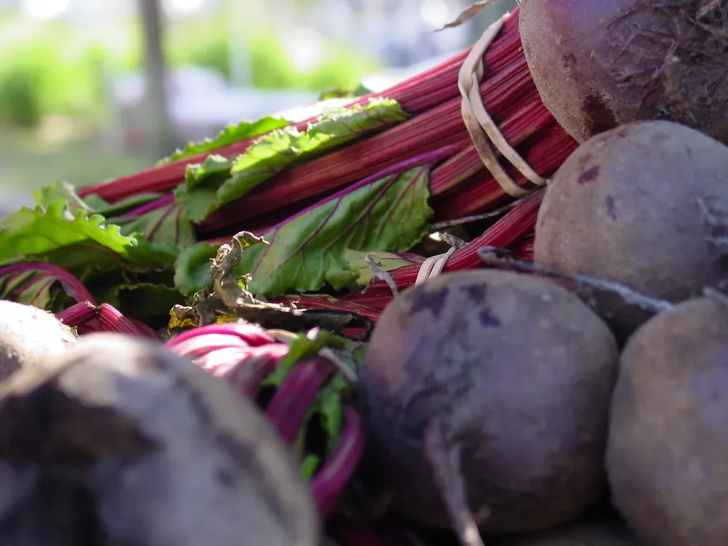 3. Beetroot (larryjh1234, Flickr, CC BY 2.0)