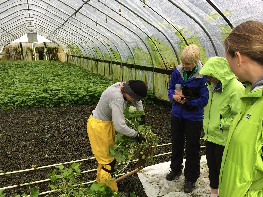 The Two-Year Wait Nobody Wants to Talk About (Image Credits: Flickr)